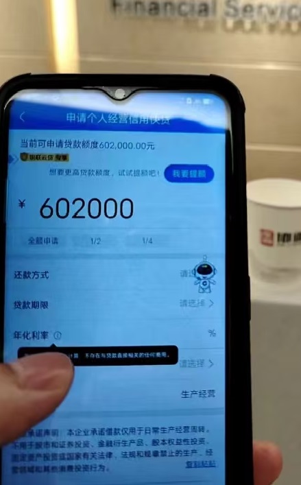 罗先生企业贷款